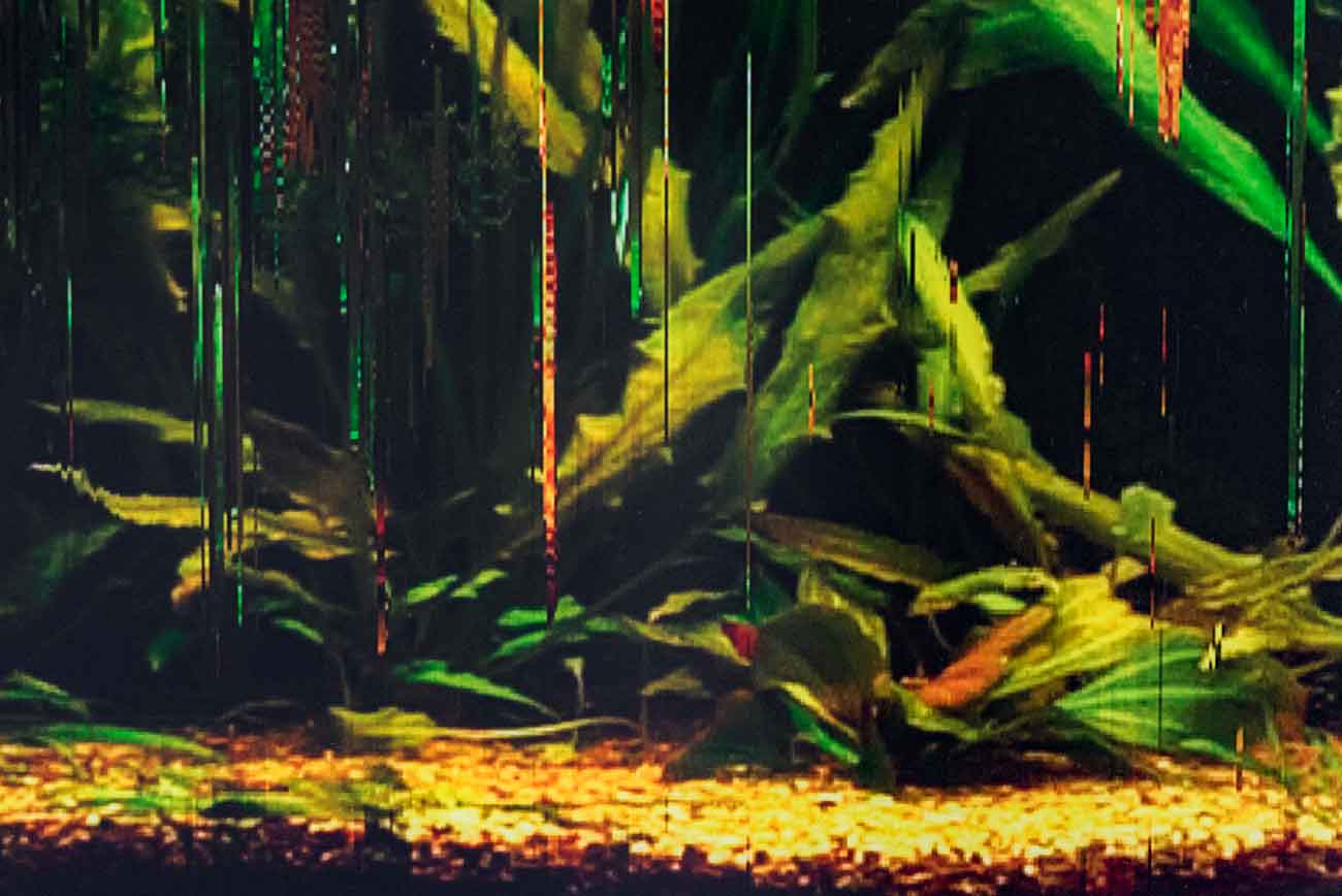 Playtime by Robert Krischan ter Horst